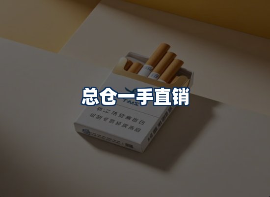 专业团队办公环境